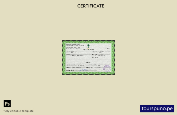 listo para imprimir plantilla PSD de certificado de nacimiento de registro vi 32